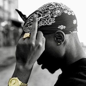 Meet your Posher, Logan